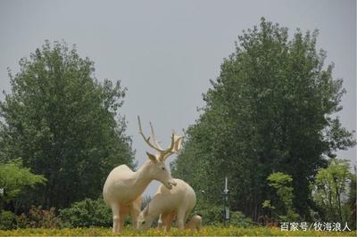 大丰中华麋鹿园印象 呦呦鹿鸣与科技之光